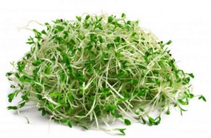 product_alfalfa